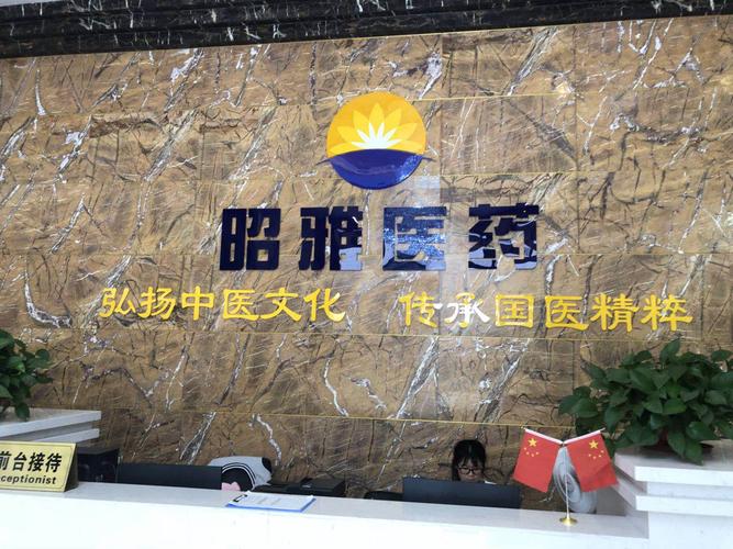 数字脉动下的羊城双子 昭雅医药与广州信息科技的协同进化
